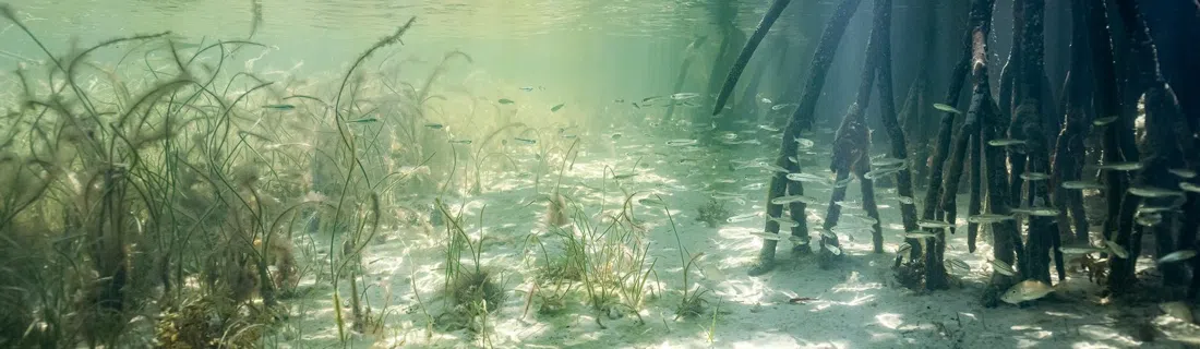 Stiltsville, Miami