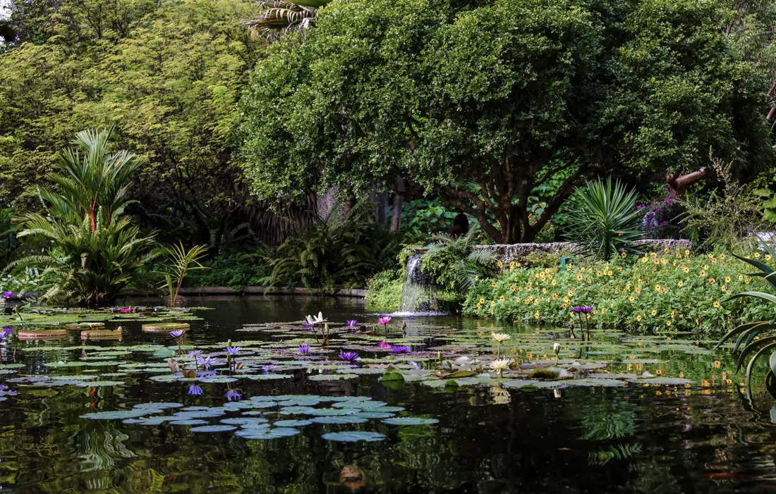 Miami Beach Botanical Garden, Miami
