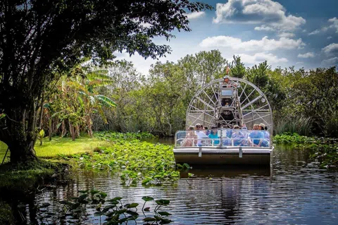 Into the Sawgrass: Miami's Wild Everglades Escape
