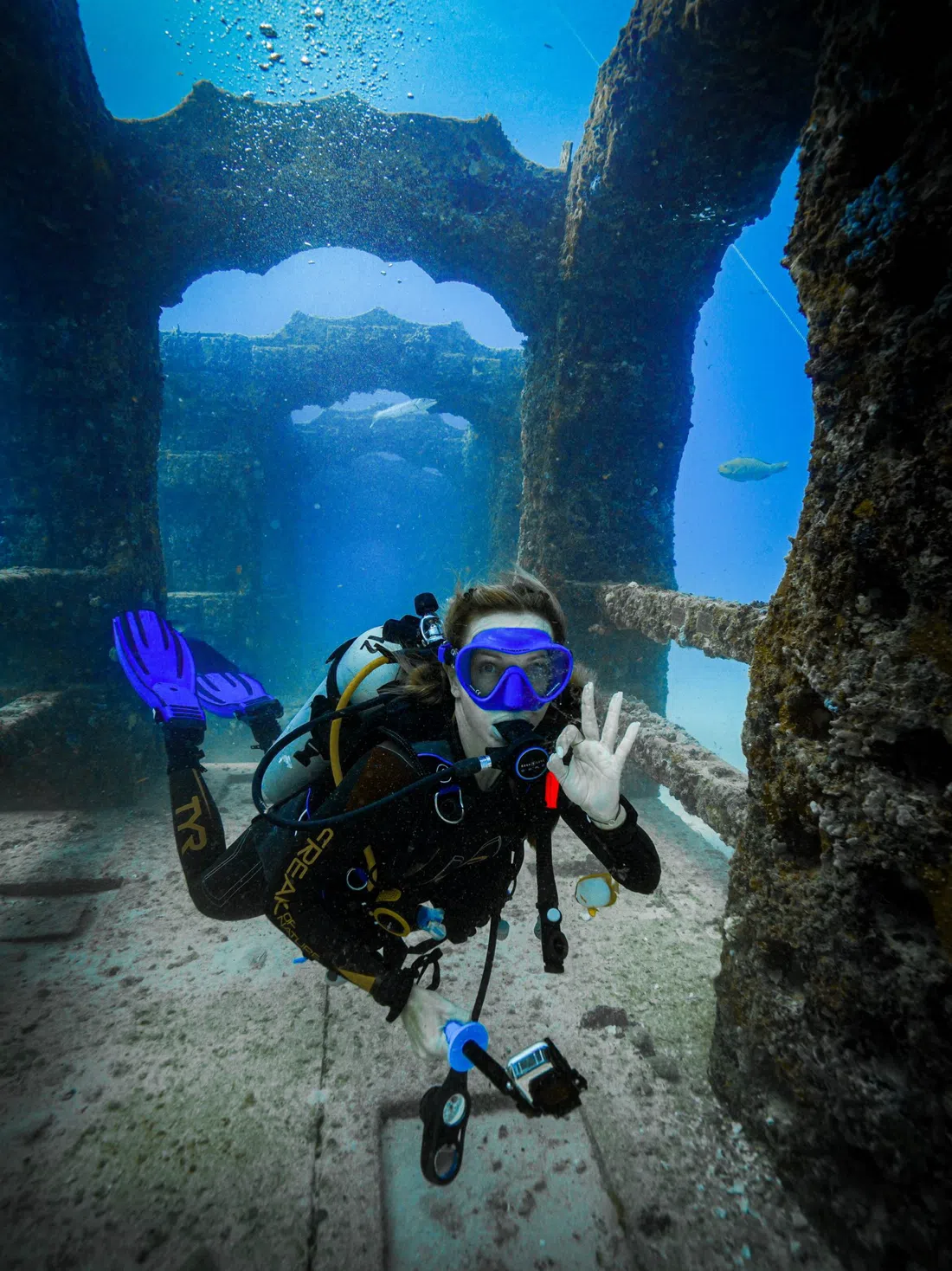Diver's Paradise Miami, Miami
