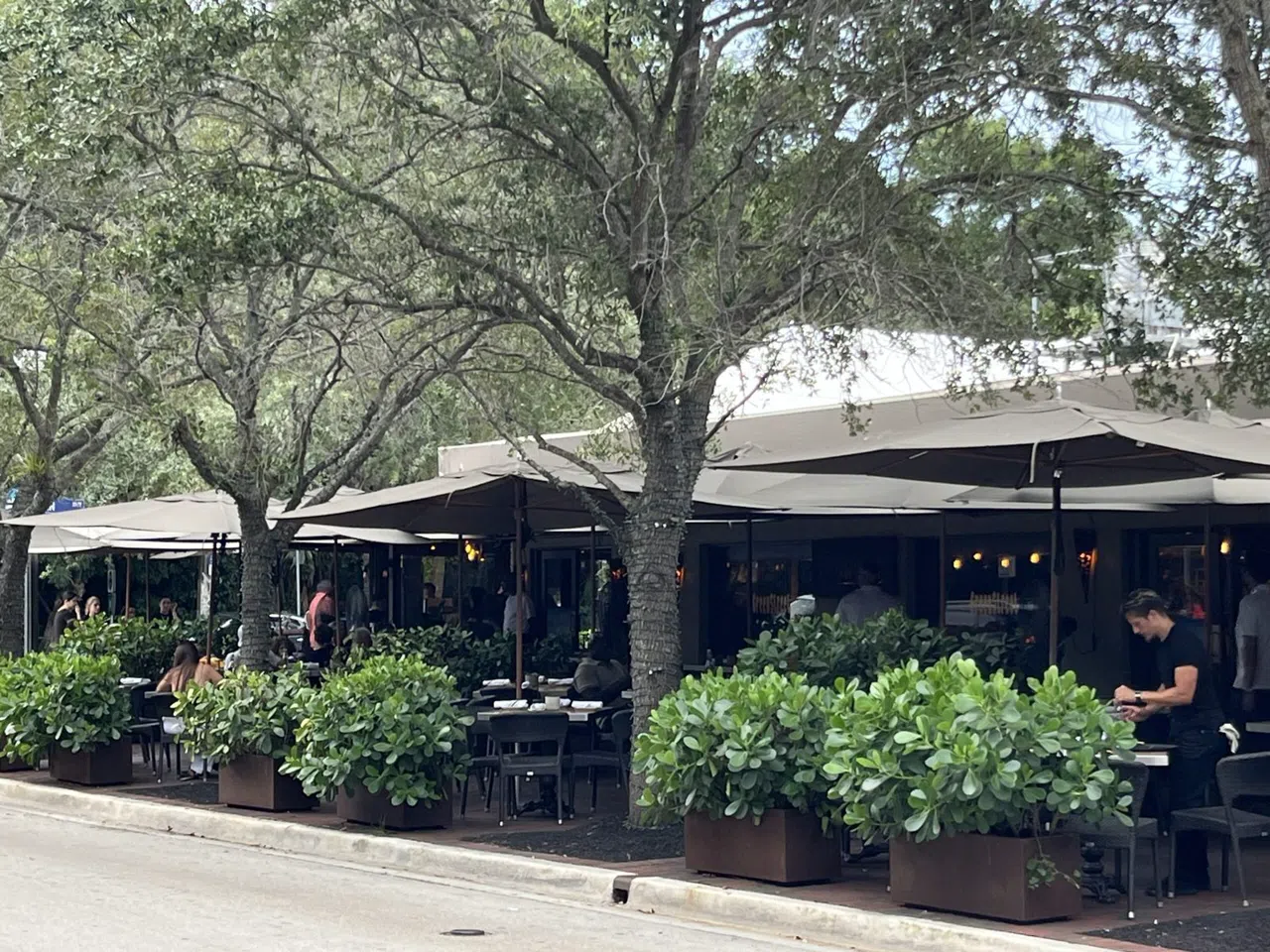 Coconut Grove, Miami: The Neighbourhood That Refused to Join the Grid