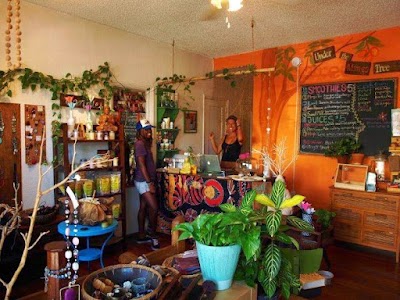 Under the Mango Tree, Miami