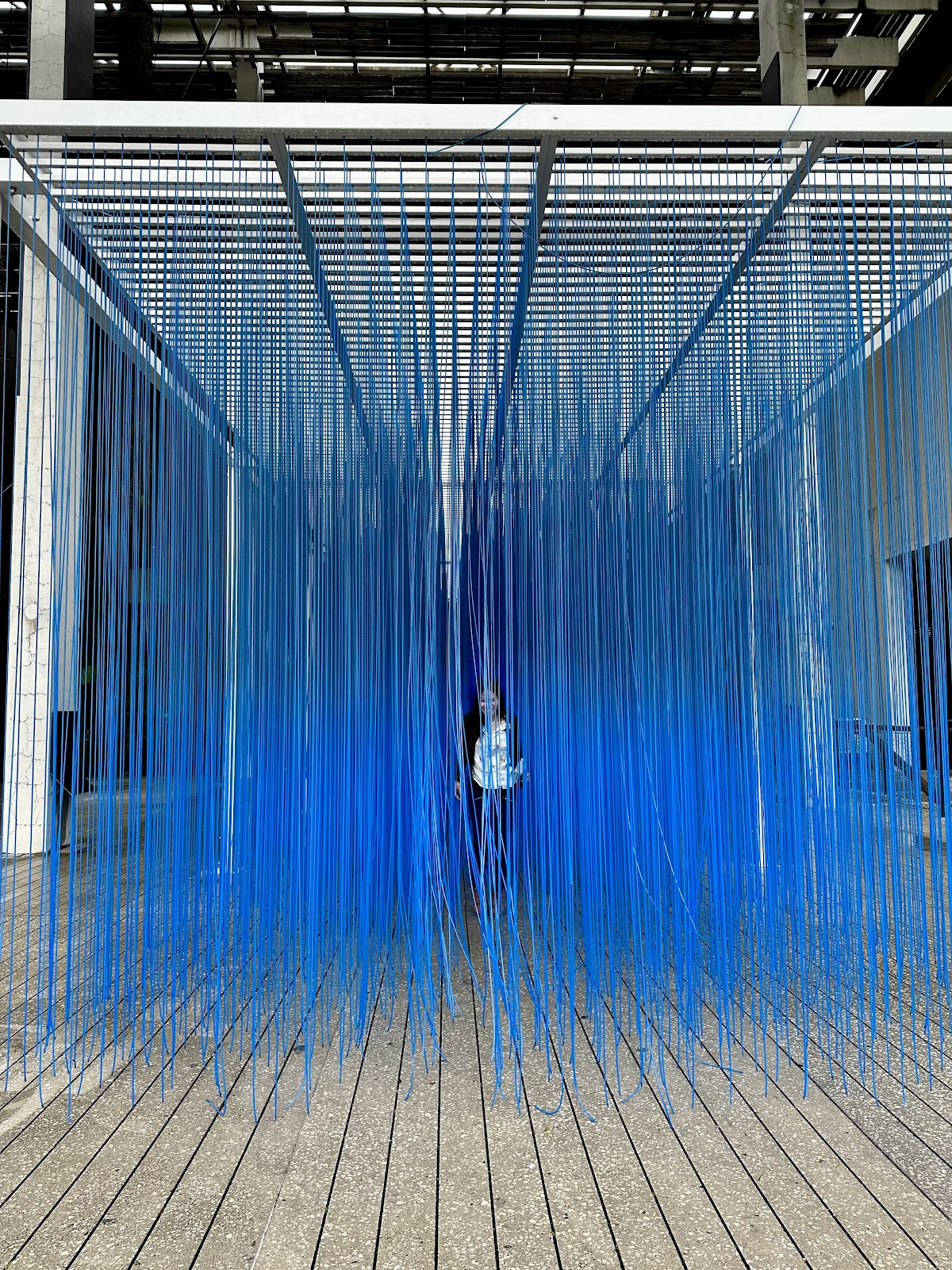 Pérez Art Museum Miami (PAMM) — photo 2