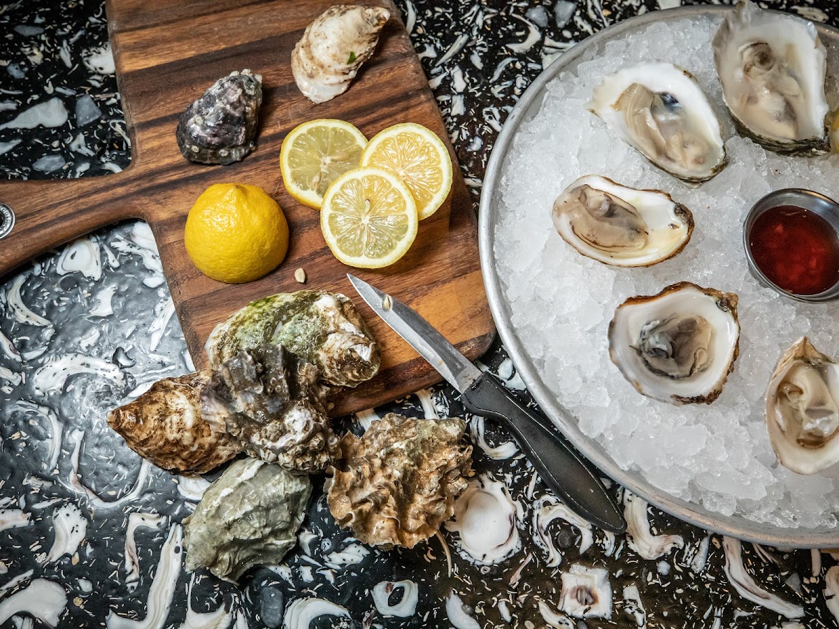 River Oyster Bar — photo 2