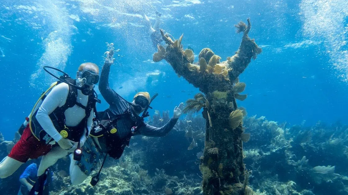 Sea Dwellers Dive Center, Miami