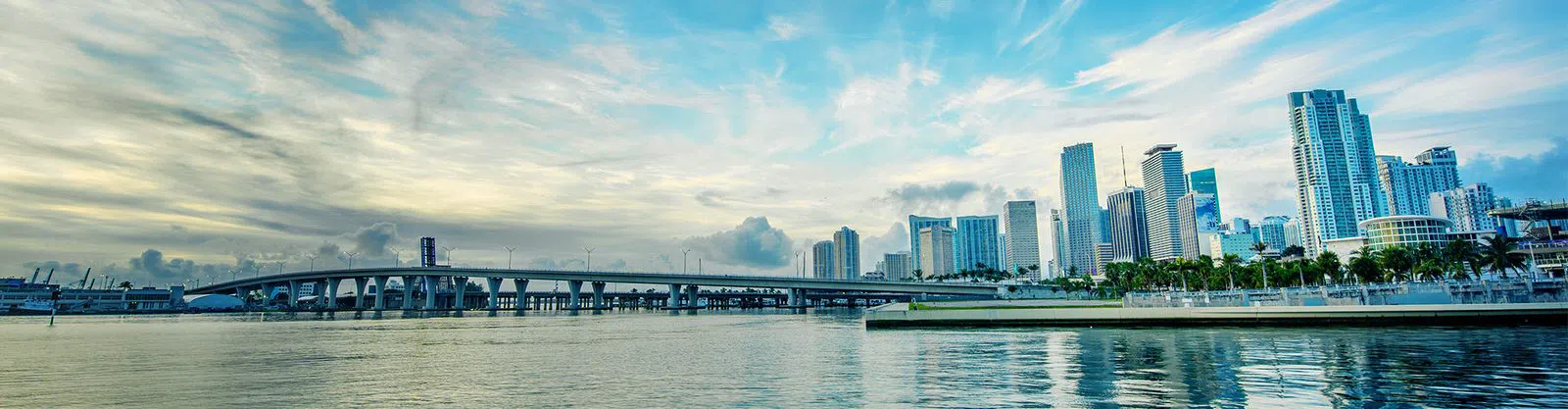 Miami EcoAdventures — Matheson Mangrove Kayak Trek, Miami